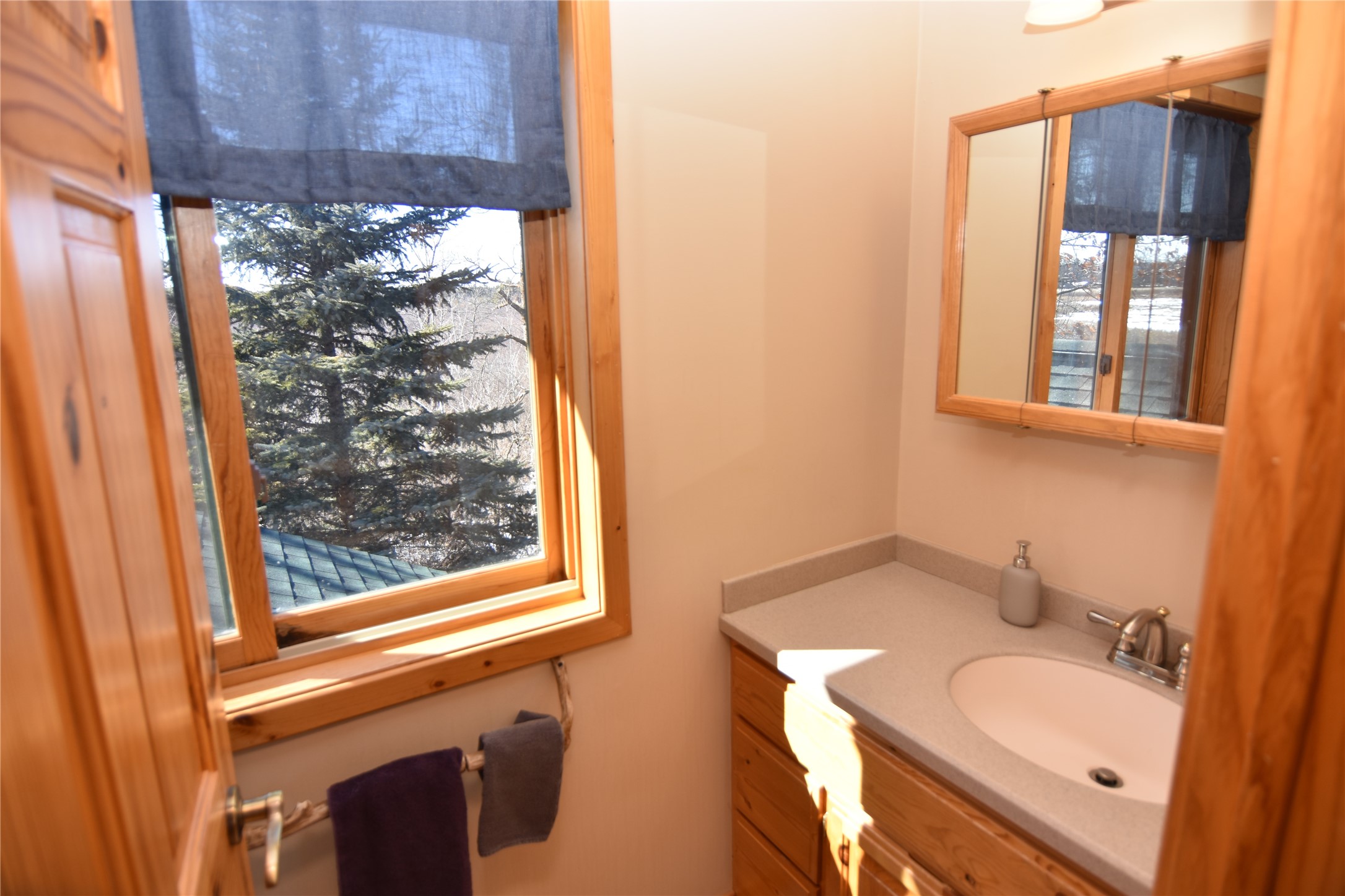 8097 Big Doctor Lake Road Property Photo 17