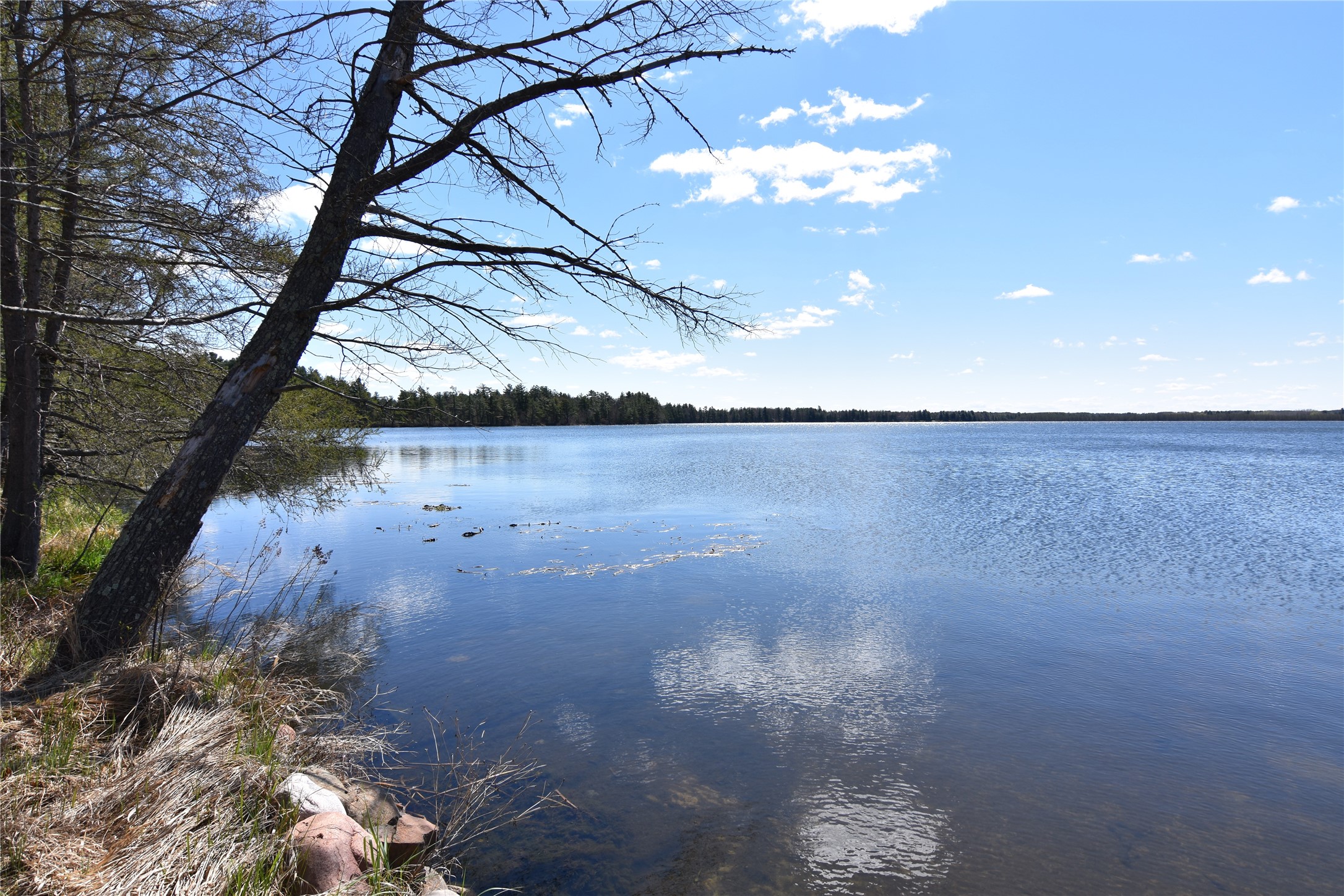 8097 Big Doctor Lake Road Property Photo 30