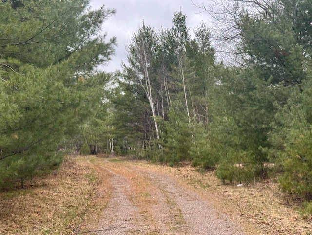 11317 N Bethel Road Property Photo 4