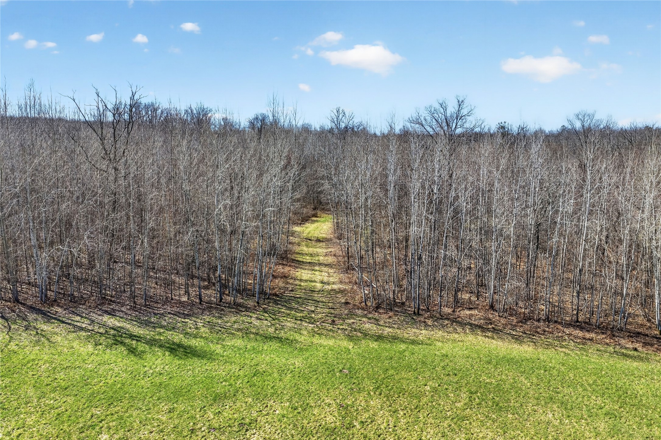 12499 N Brooklyn Road Property Photo 14