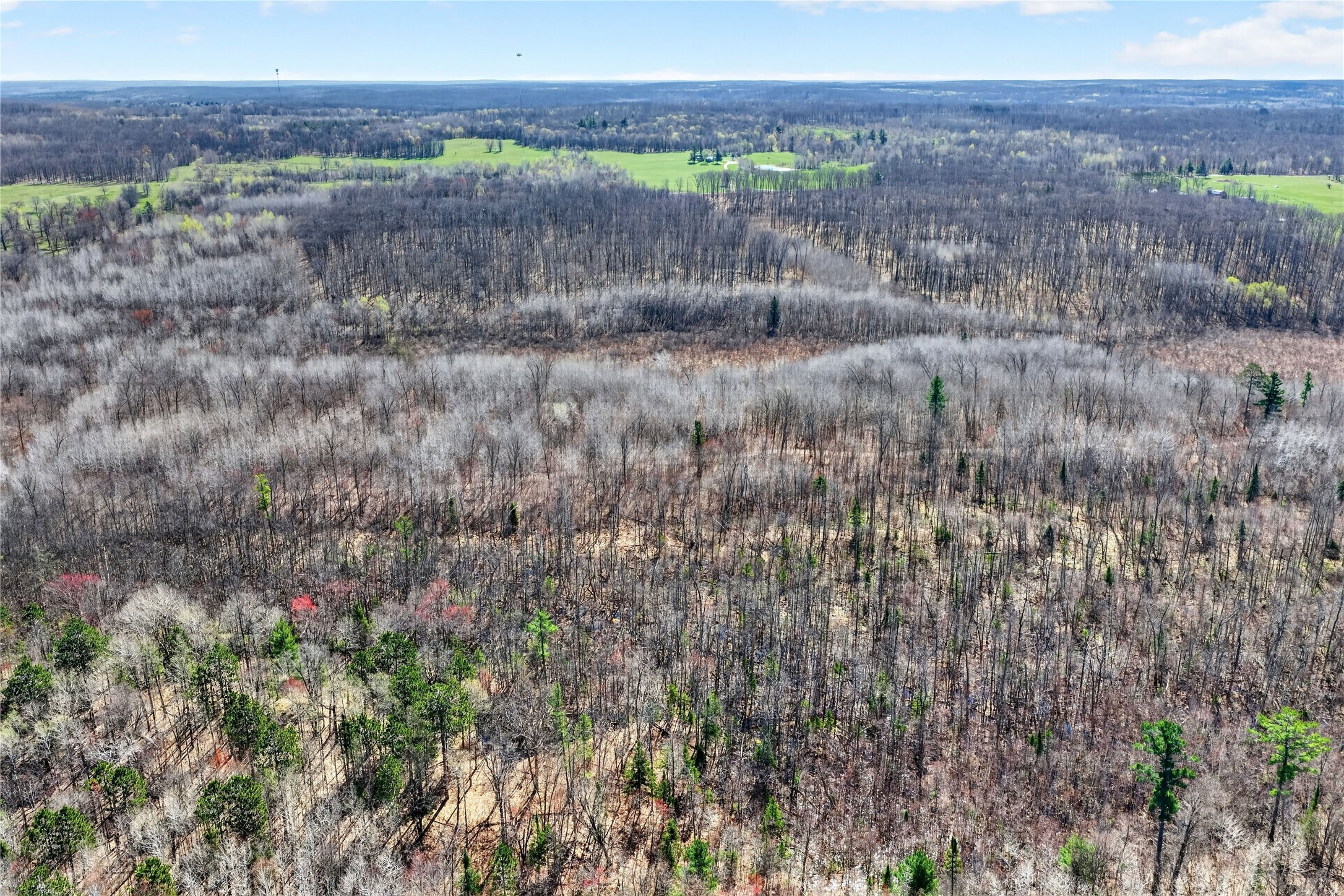 12499 N Brooklyn Road Property Photo 15