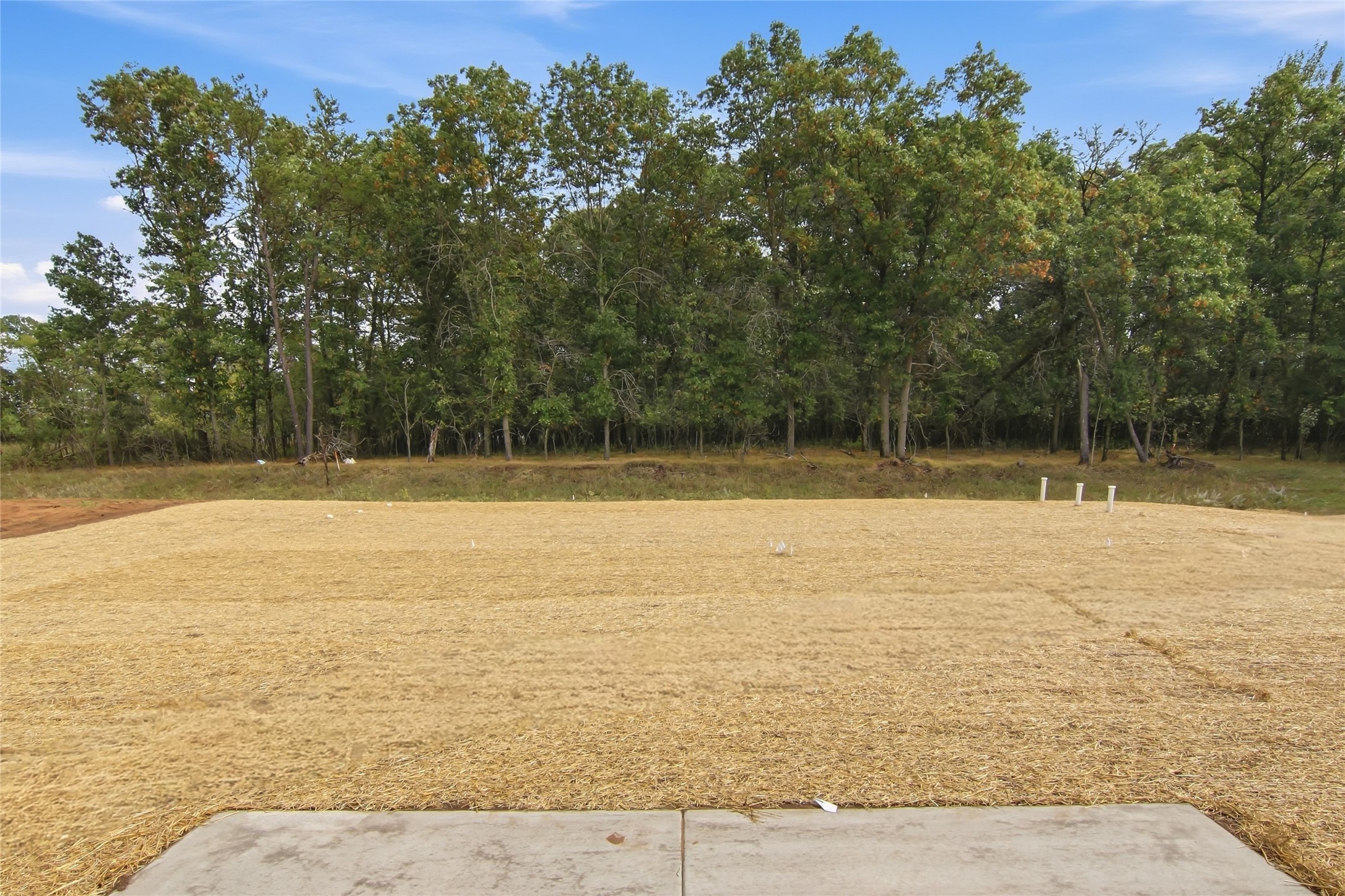 3647 114th Street Property Photo 14