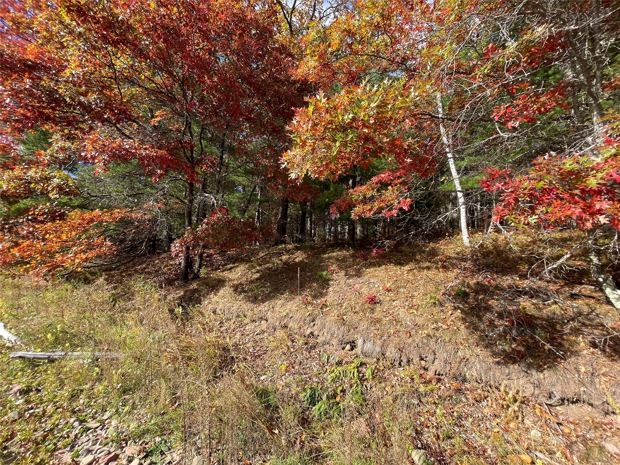 7 W Tanager Trail Property Photo 5