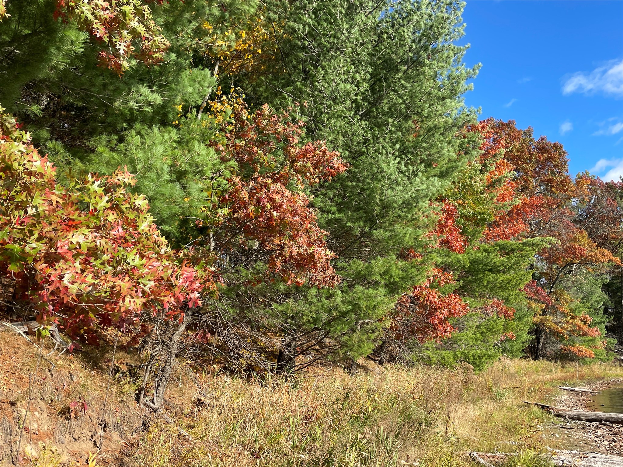 7 W Tanager Trail Property Photo 7