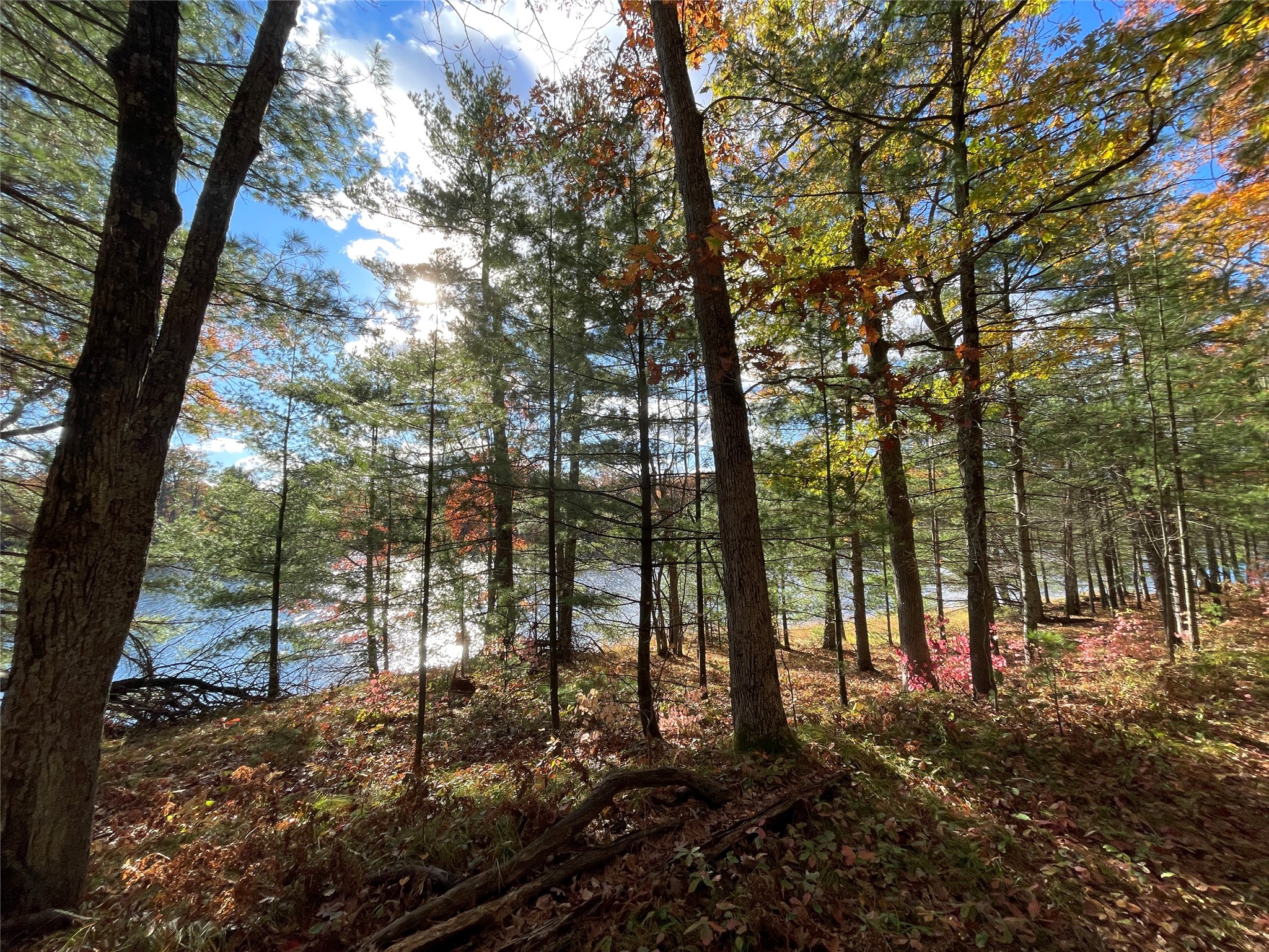 7 W Tanager Trail Property Photo 13