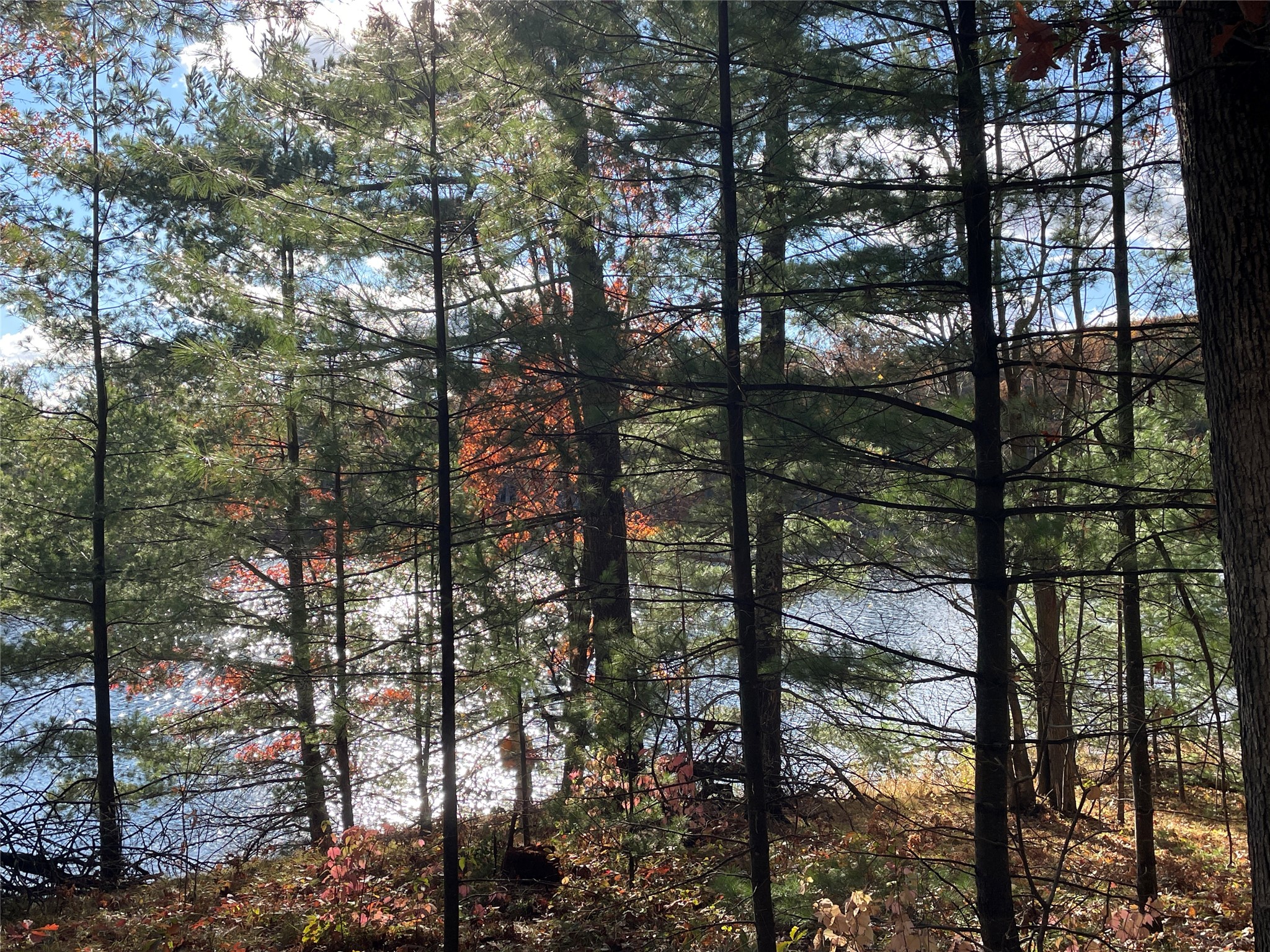 7 W Tanager Trail Property Photo 14