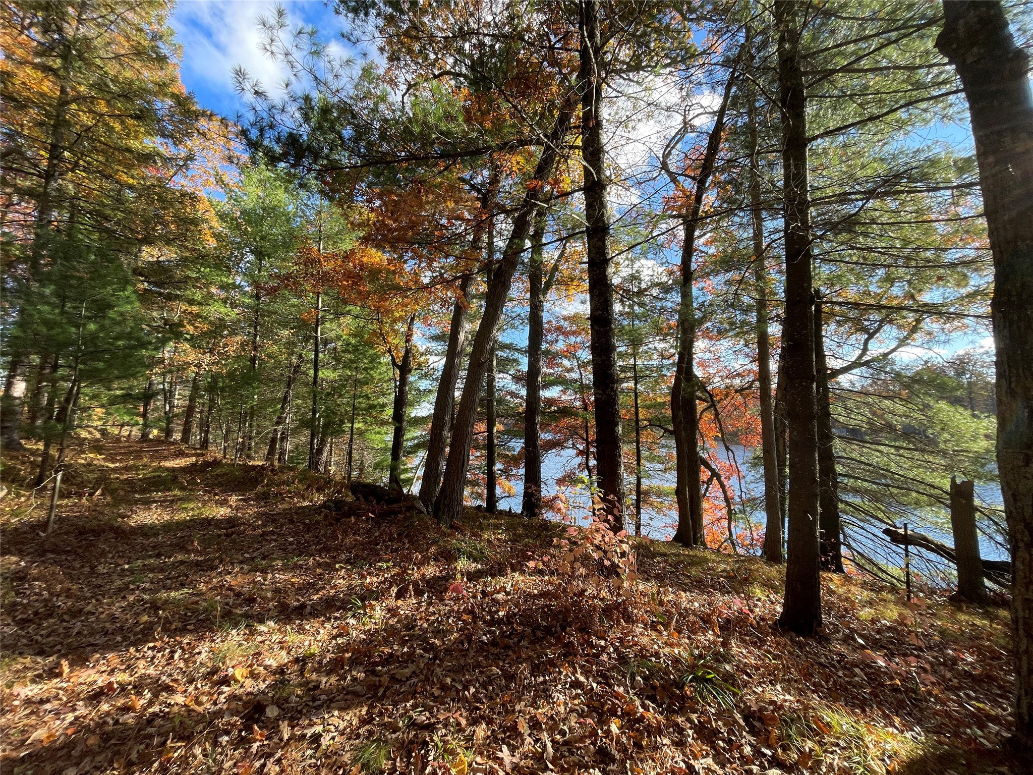 7 W Tanager Trail Property Photo 17