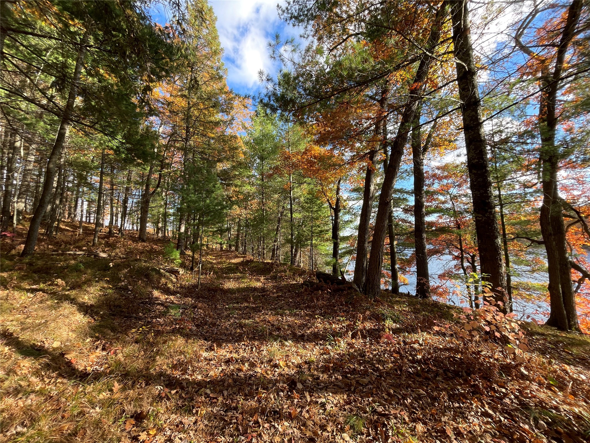 7 W Tanager Trail Property Photo 18