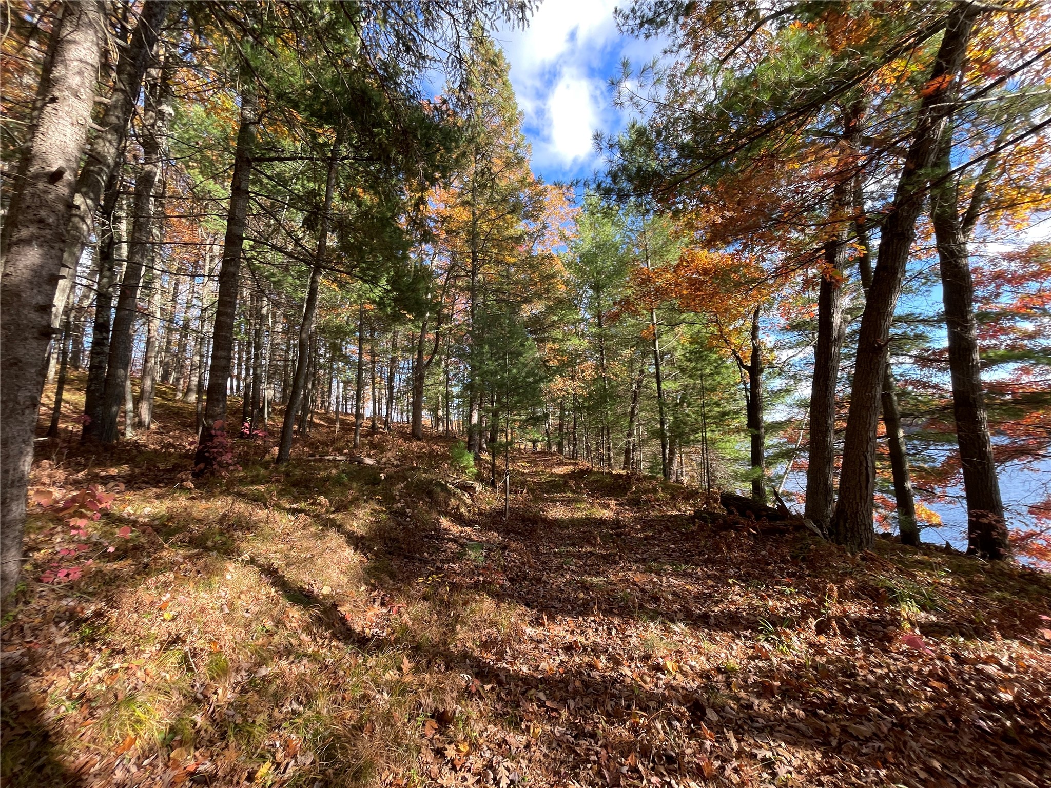 7 W Tanager Trail Property Photo 19