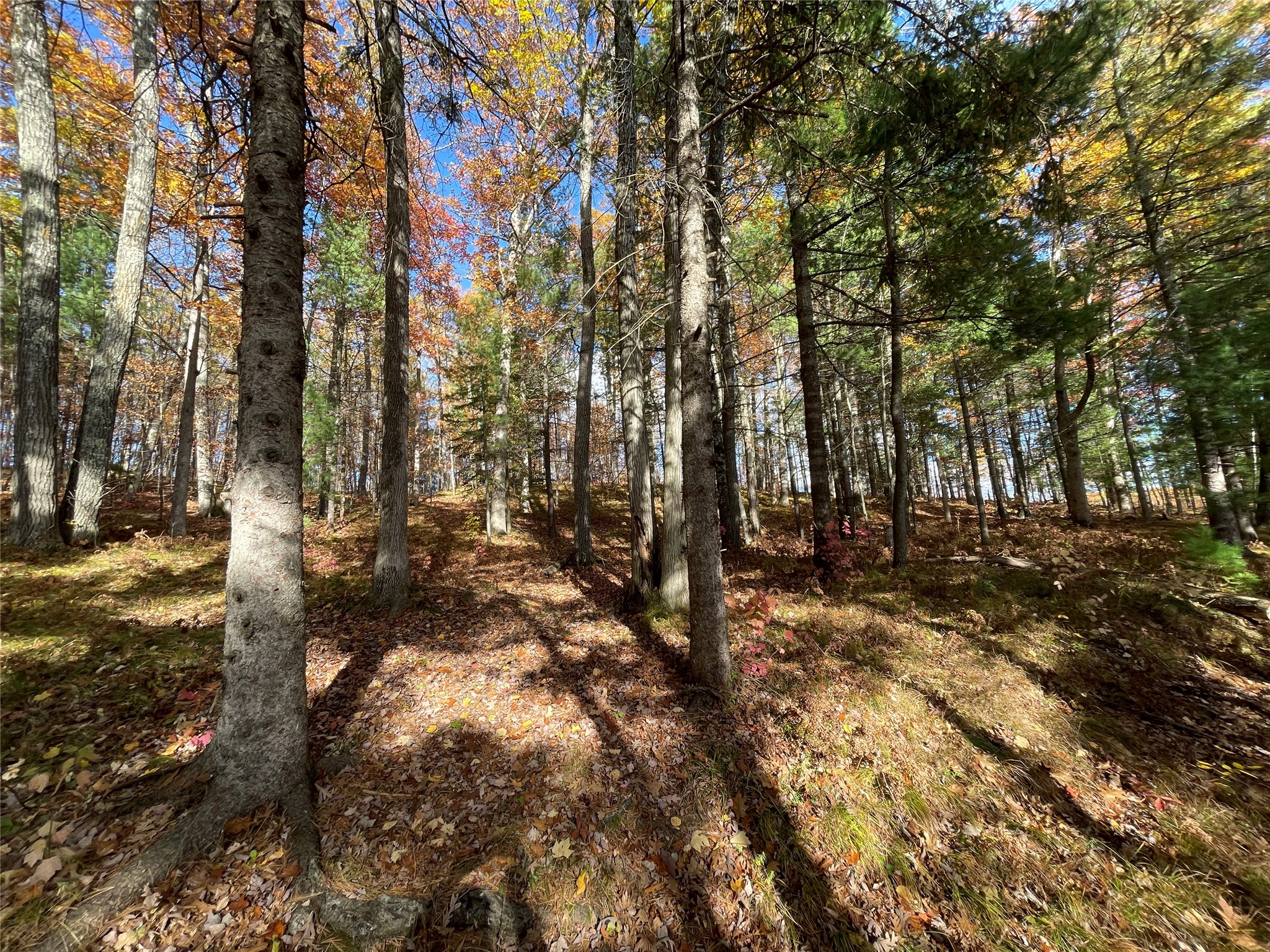 7 W Tanager Trail Property Photo 21