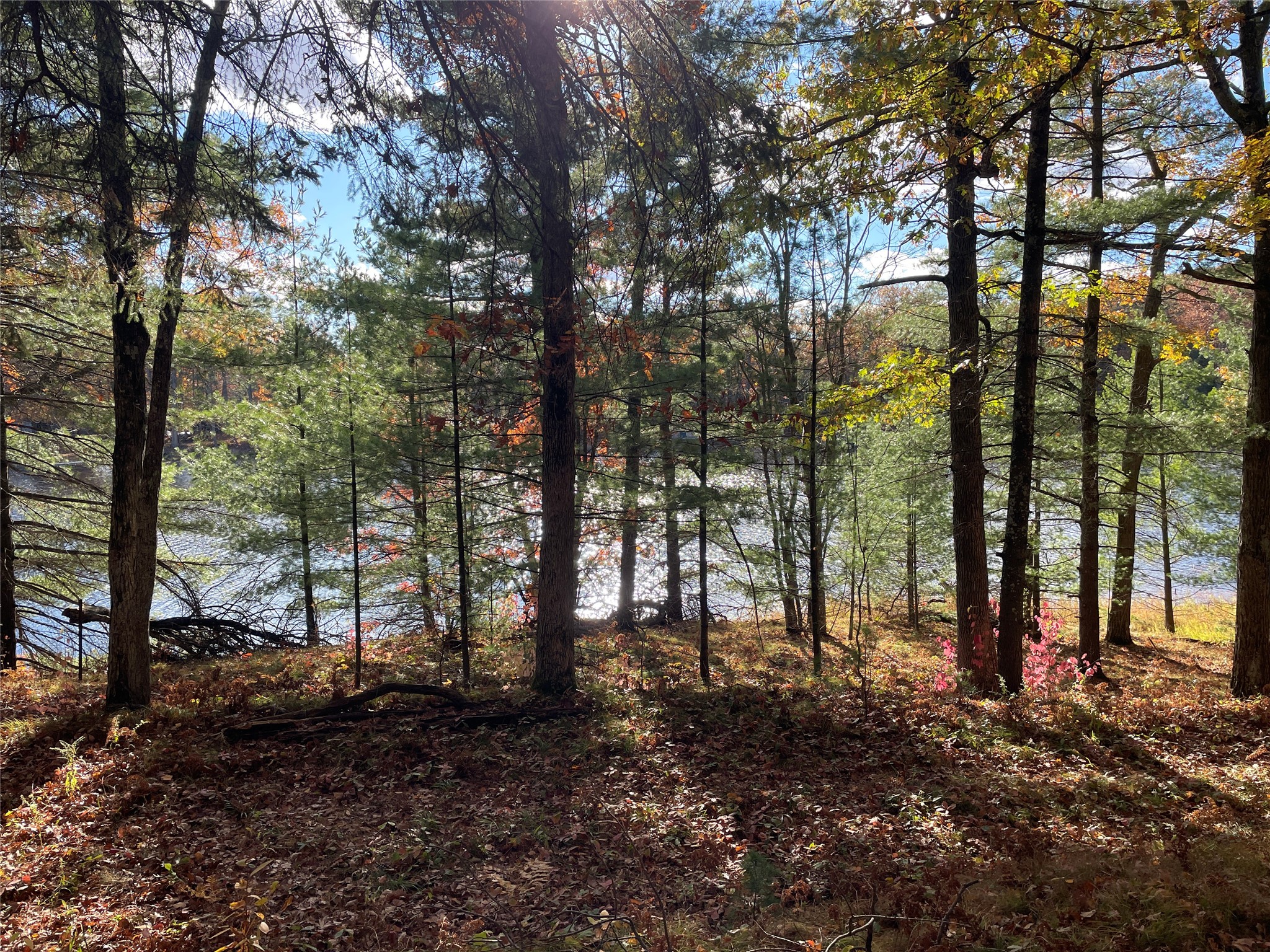 7 W Tanager Trail Property Photo 22