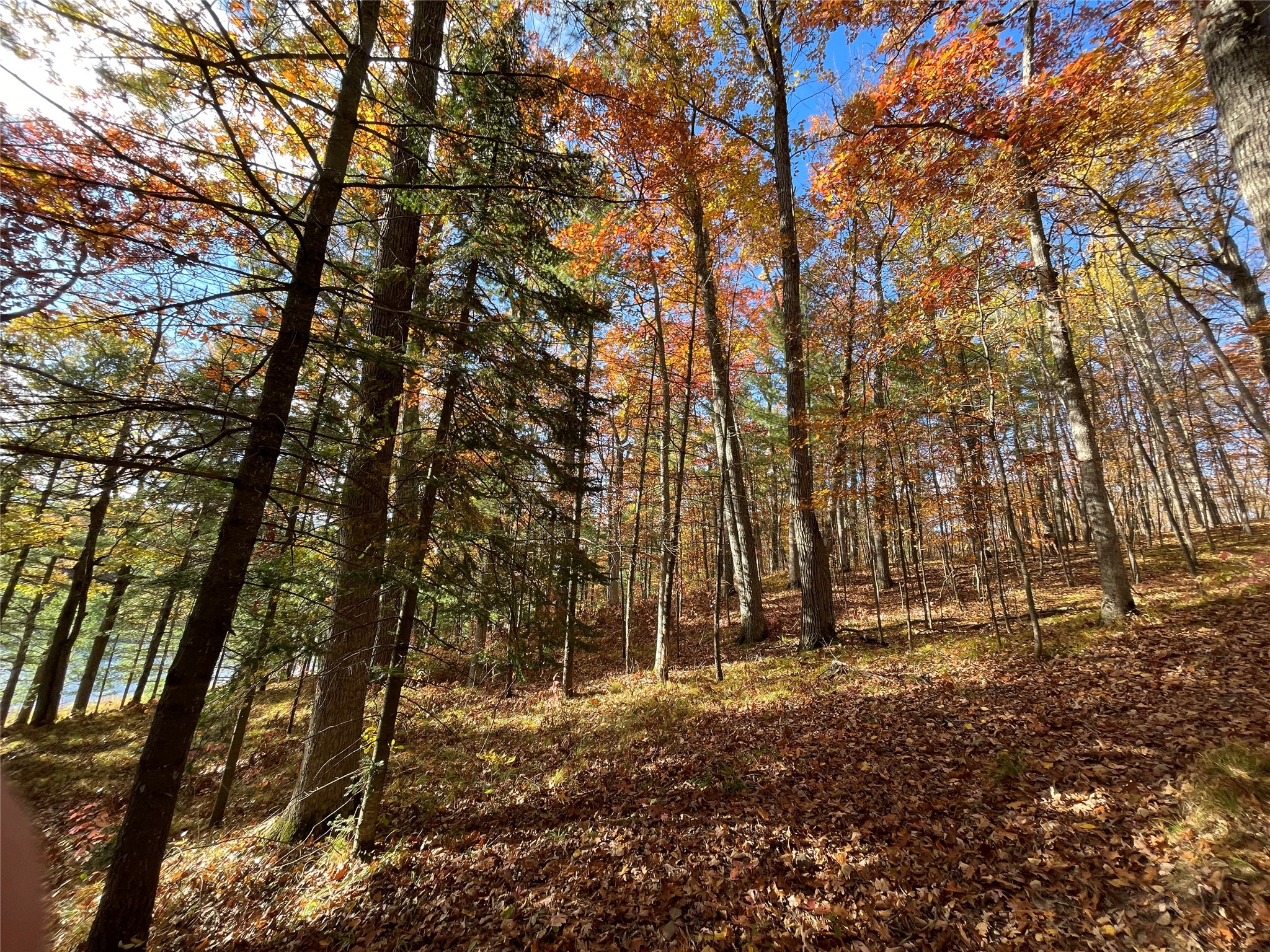 7 W Tanager Trail Property Photo 26