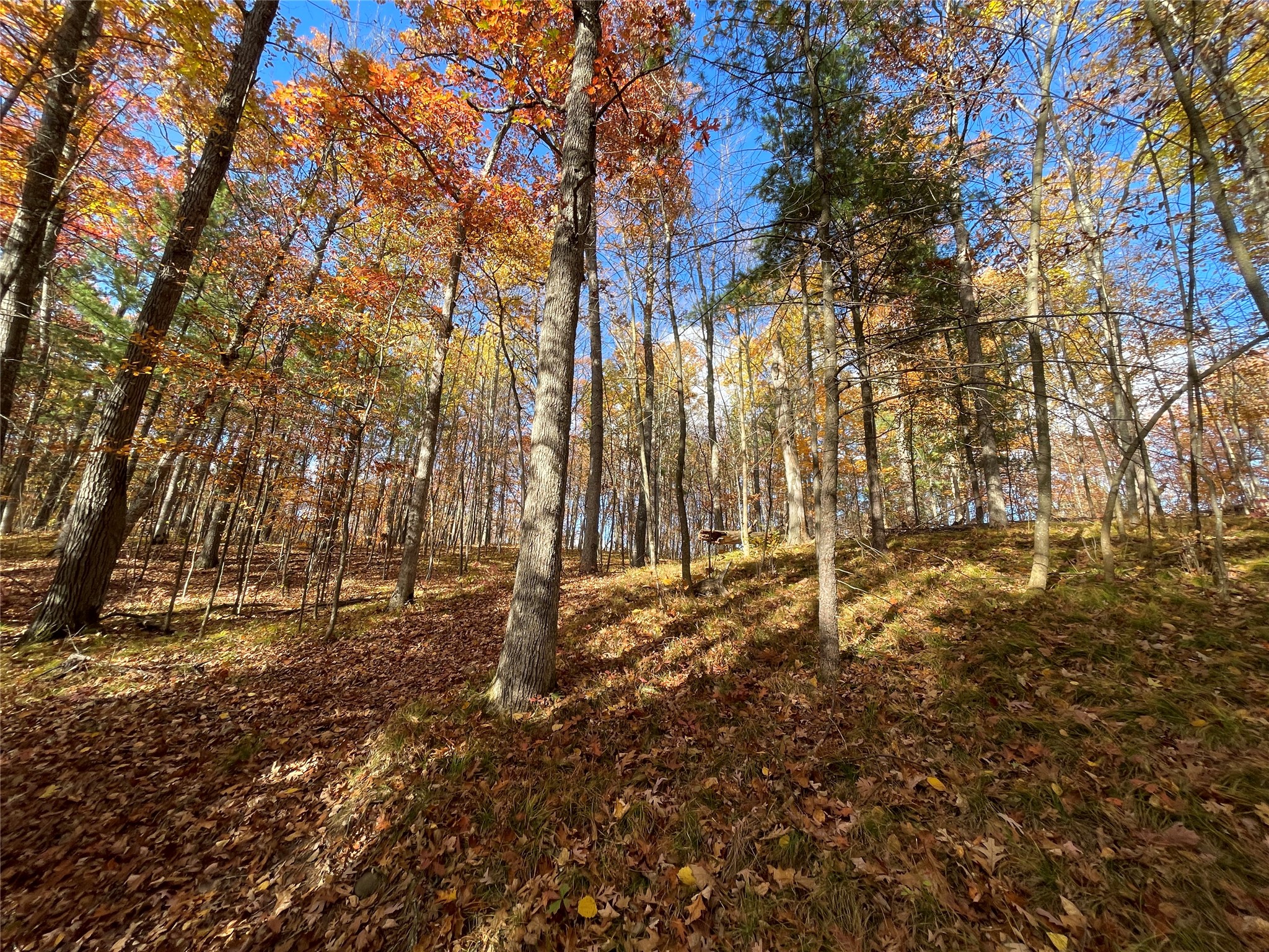 7 W Tanager Trail Property Photo 27