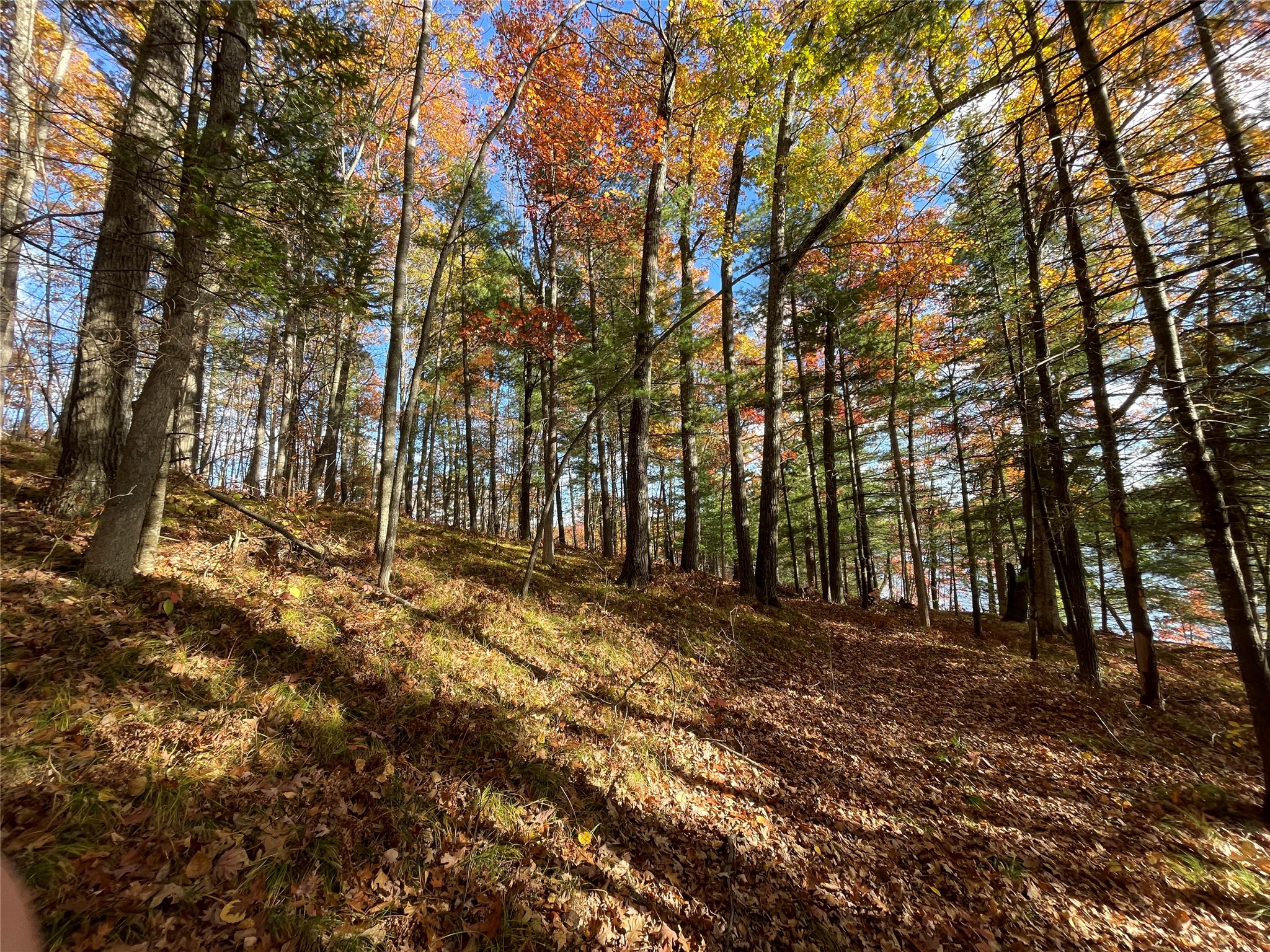 7 W Tanager Trail Property Photo 30