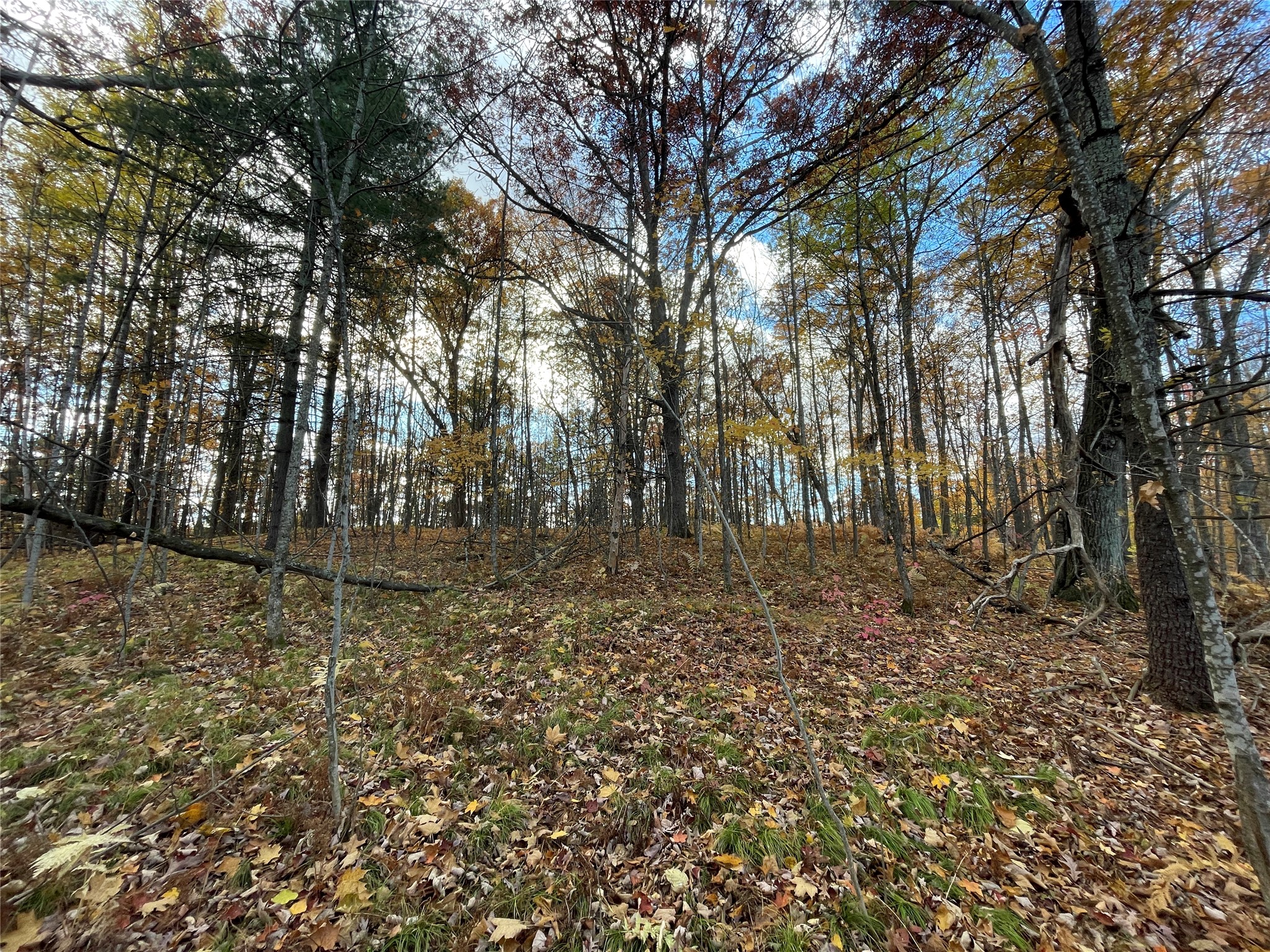7 W Tanager Trail Property Photo 33