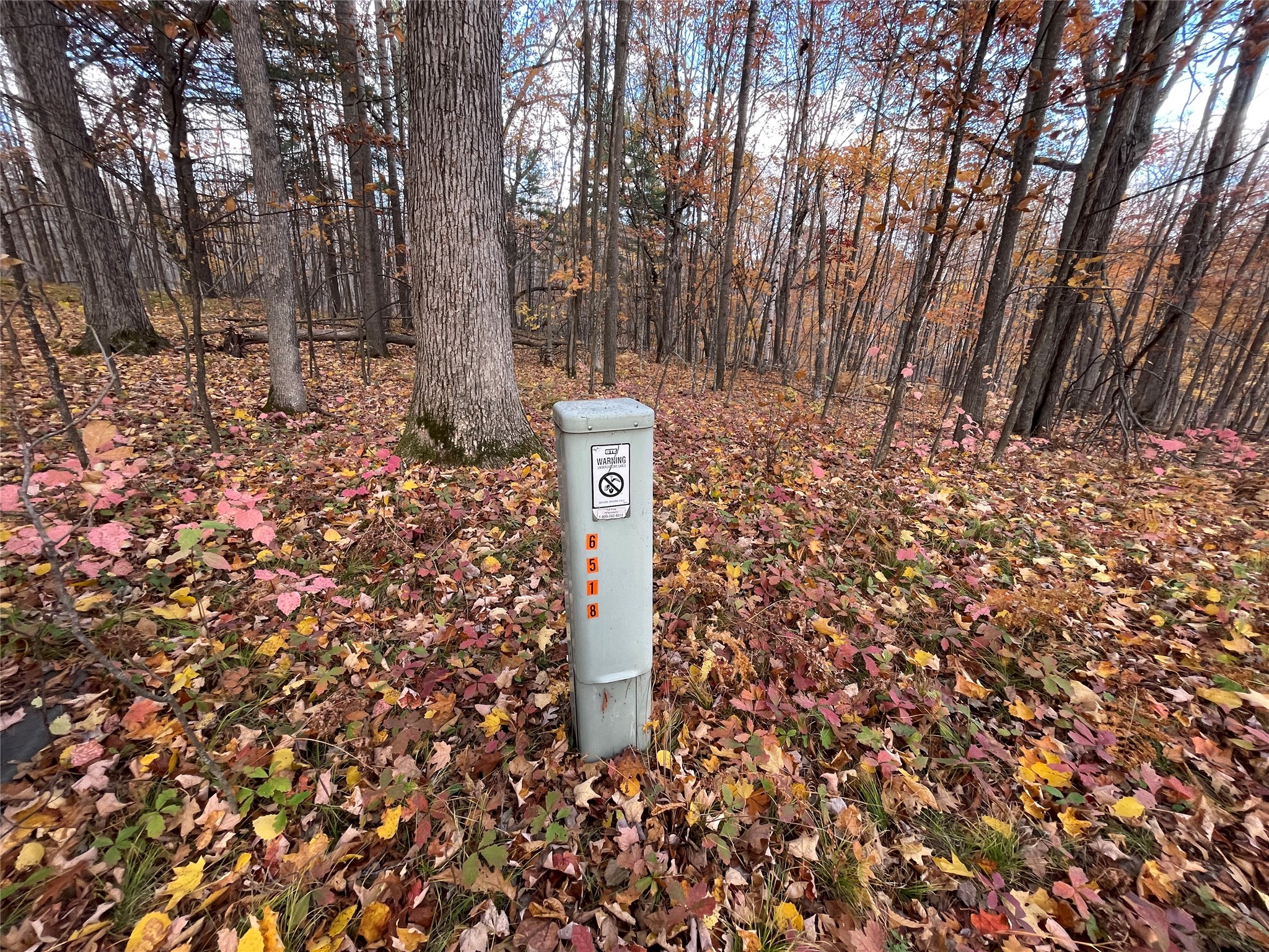 7 W Tanager Trail Property Photo 34