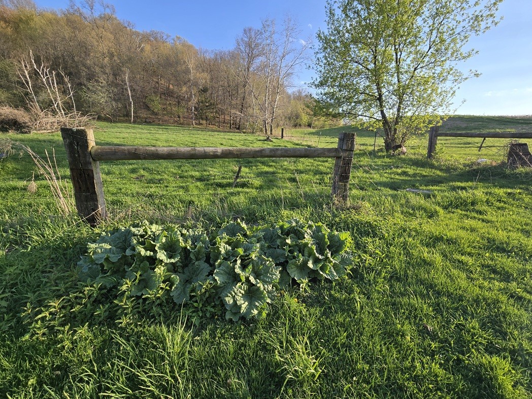 N38965 County Road W Property Photo 11