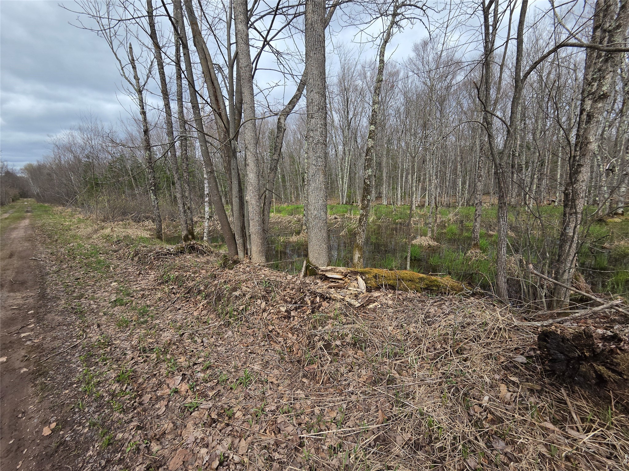 12xxx N Olson Road Property Photo 16