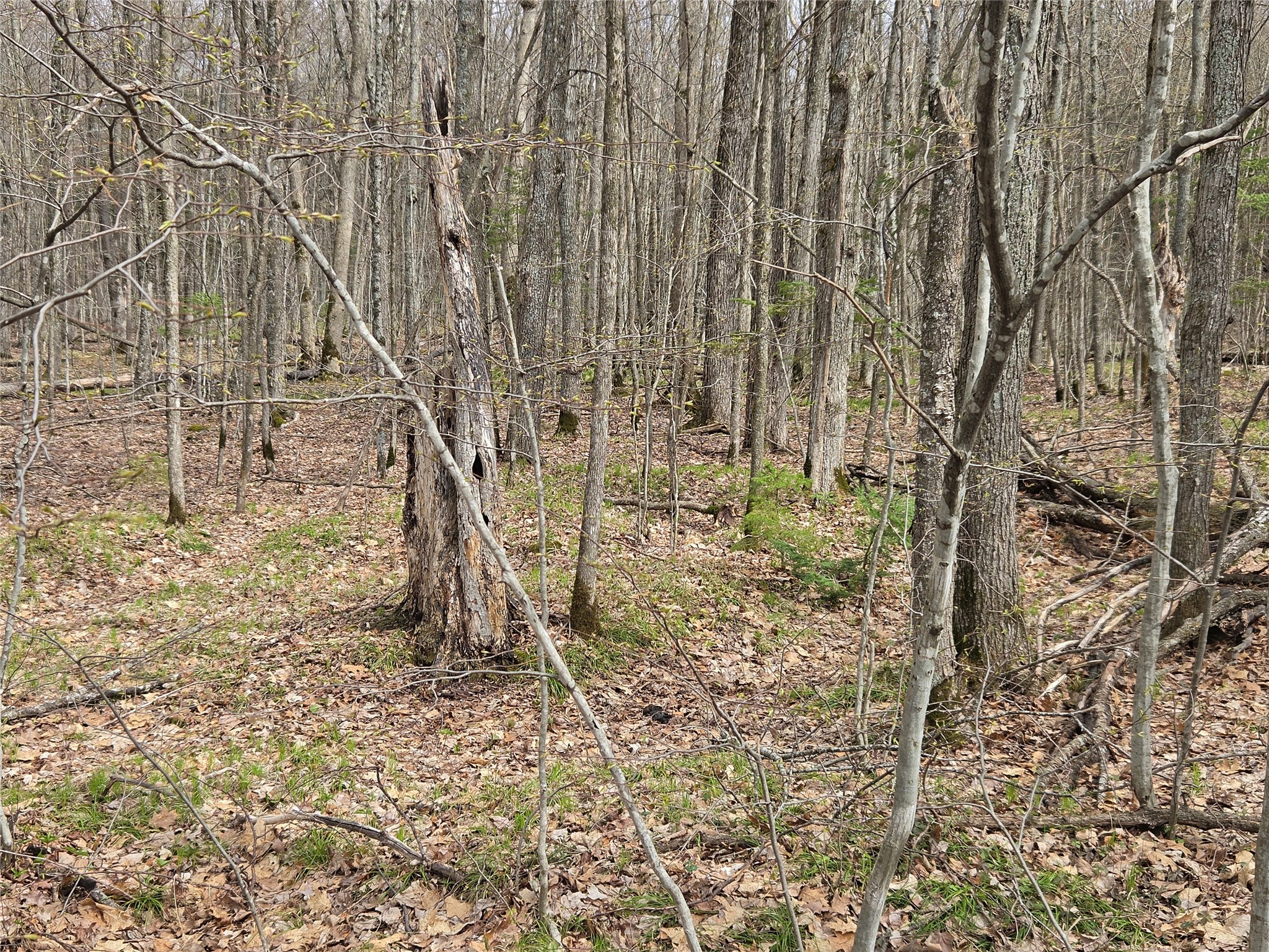 12xxx N Olson Road Property Photo 20