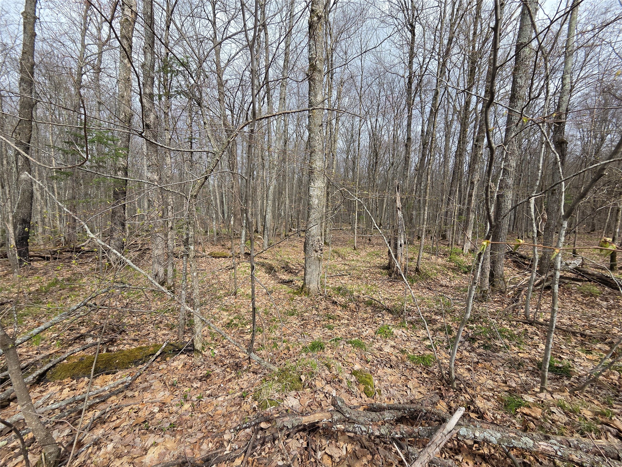 12xxx N Olson Road Property Photo 21
