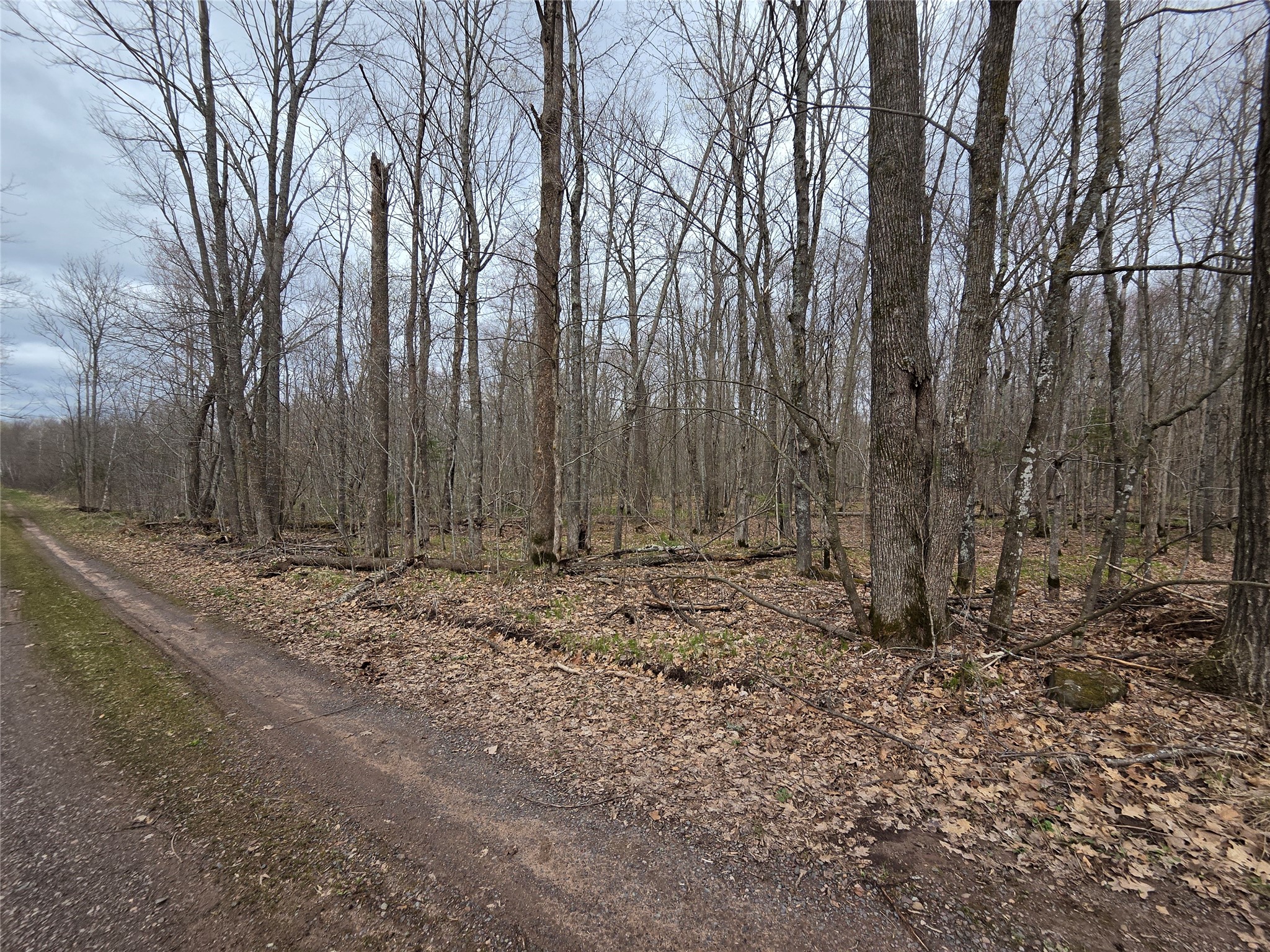 12xxx N Olson Road Property Photo 22