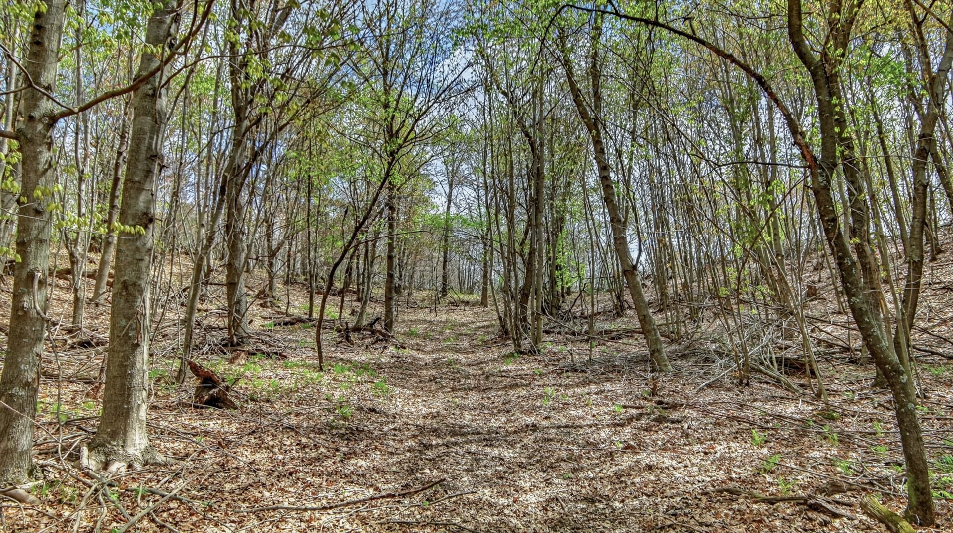 00 County Road P Property Photo 11