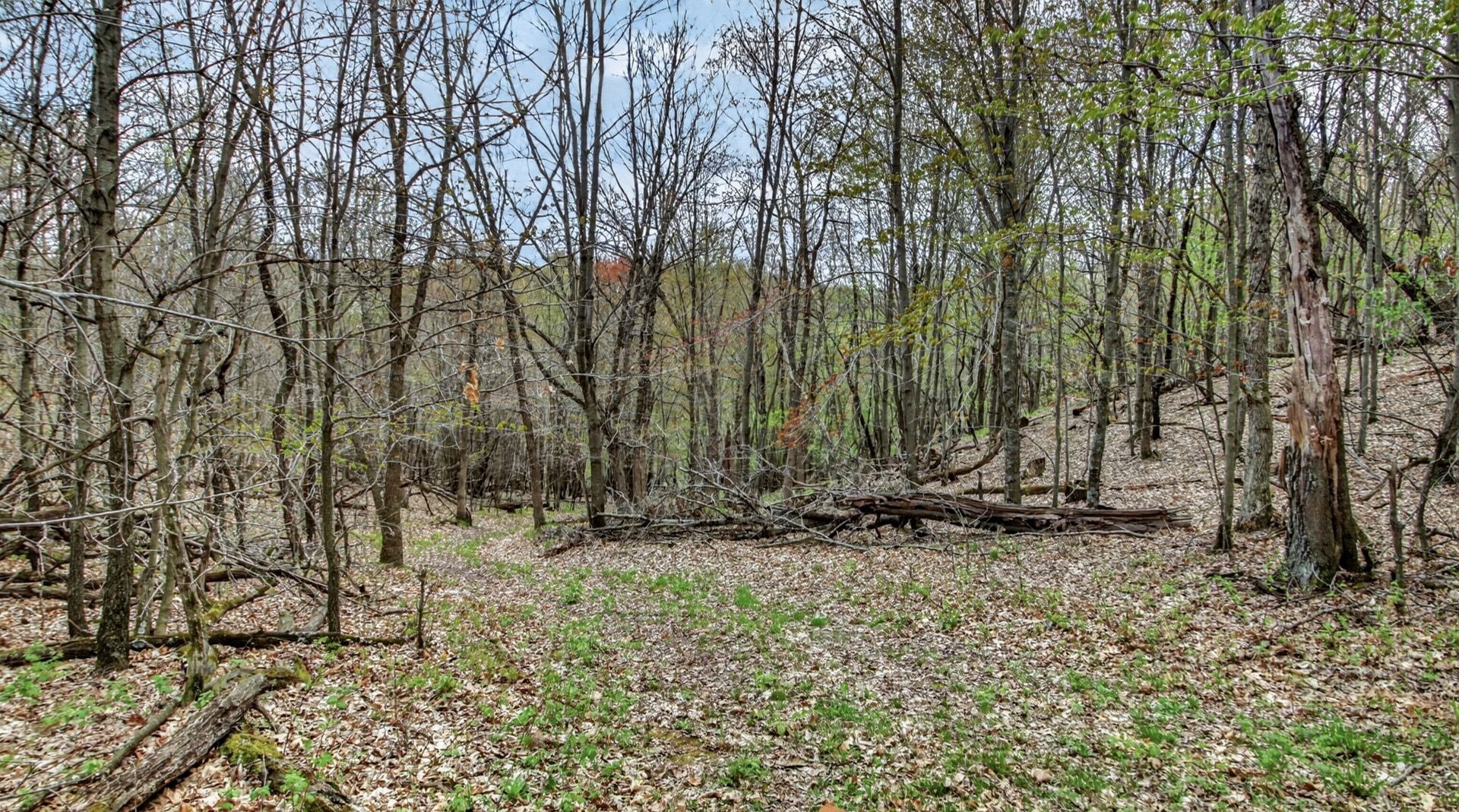 00 County Road P Property Photo 13