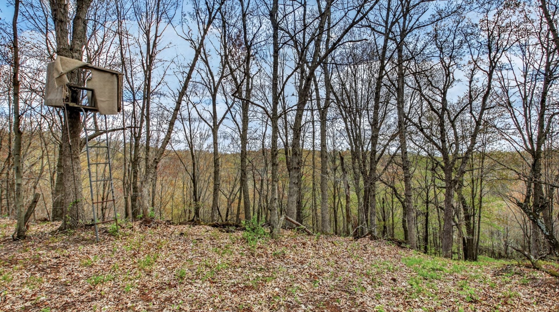 00 County Road P Property Photo 16