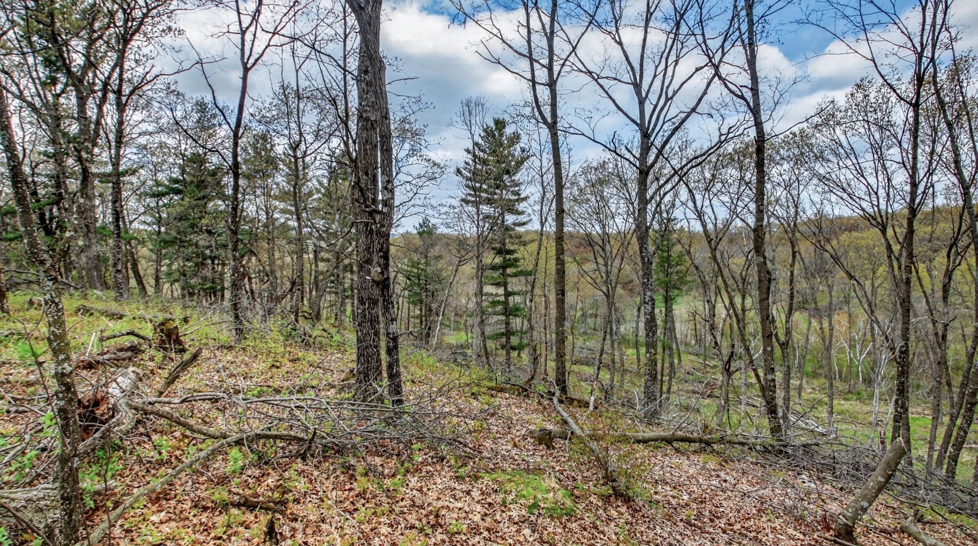 00 County Road P Property Photo 33