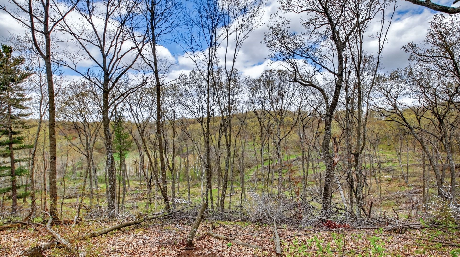 00 County Road P Property Photo 34