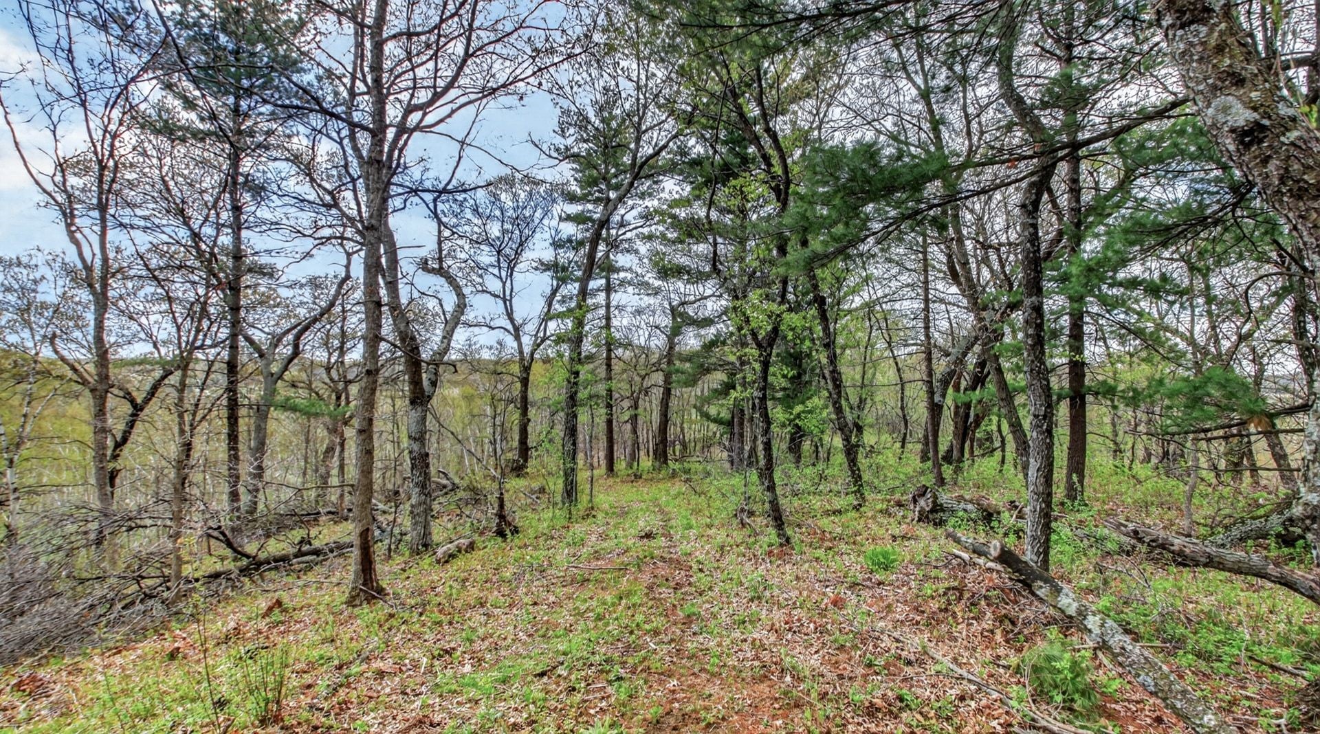 00 County Road P Property Photo 37