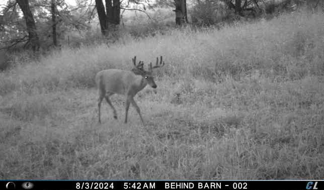00 County Road P Property Photo 46