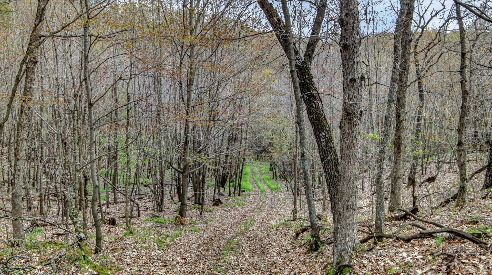 N9370 County Road P Property Photo 43