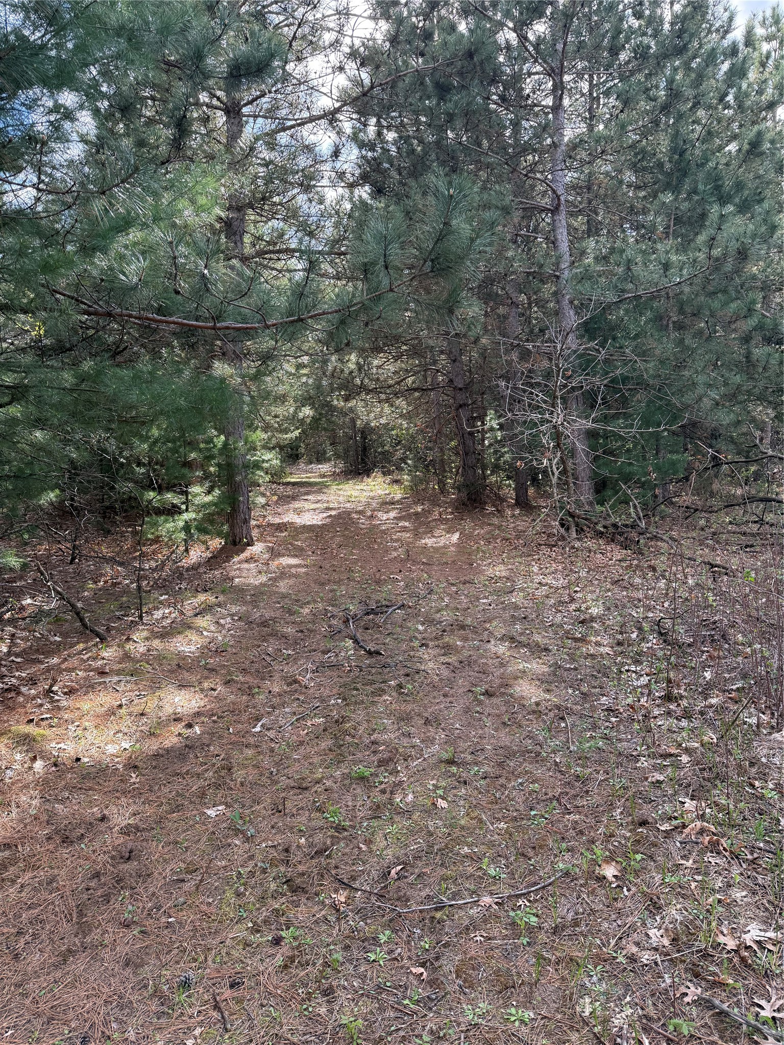 000 1000th Street Property Photo 5