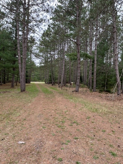 9868 Autumn Moon Road Property Photo 5