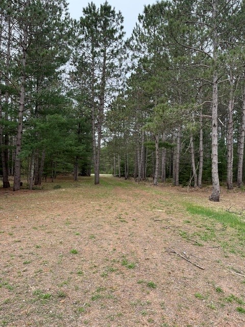 9868 Autumn Moon Road Property Photo 6
