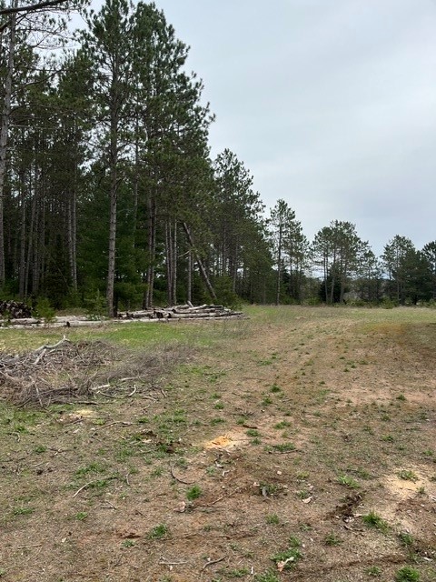 9868 Autumn Moon Road Property Photo 7