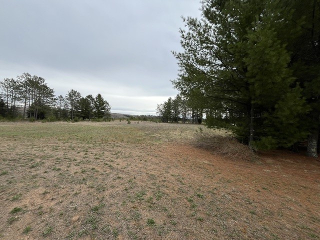 9868 Autumn Moon Road Property Photo 8