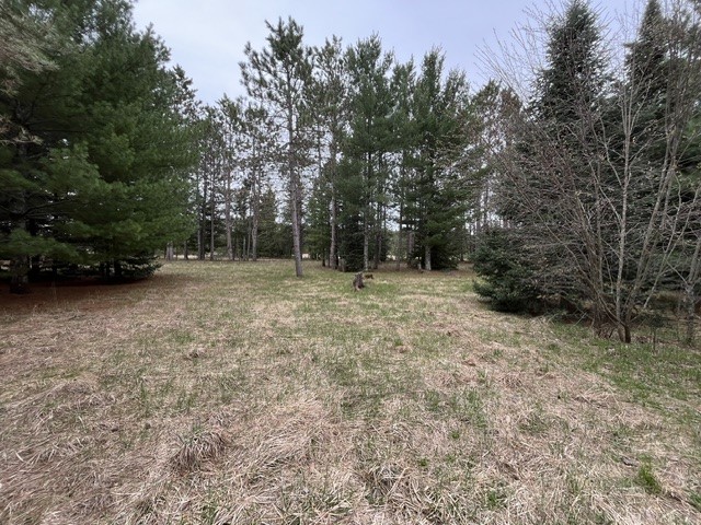 9868 Autumn Moon Road Property Photo 10