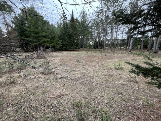 9868 Autumn Moon Road Property Photo 11