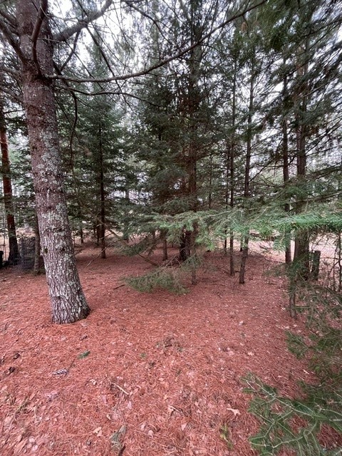 9868 Autumn Moon Road Property Photo 12