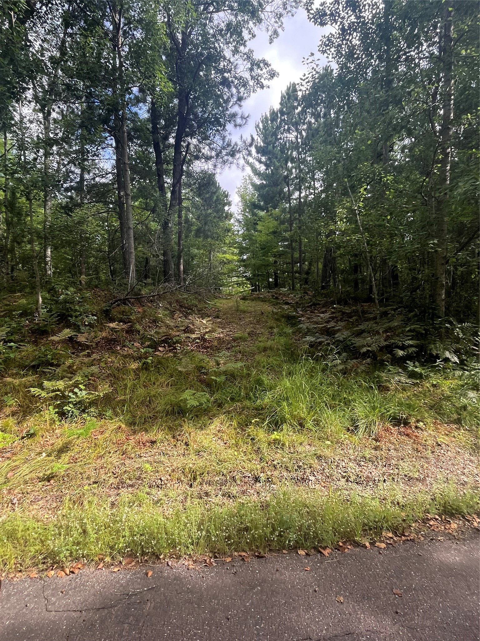 Lot 40 N Bay Drive Property Photo 15