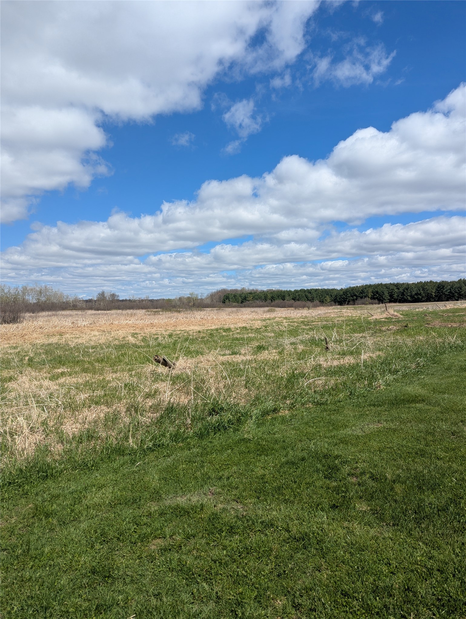 23505 State Highway 27 Property Photo 27
