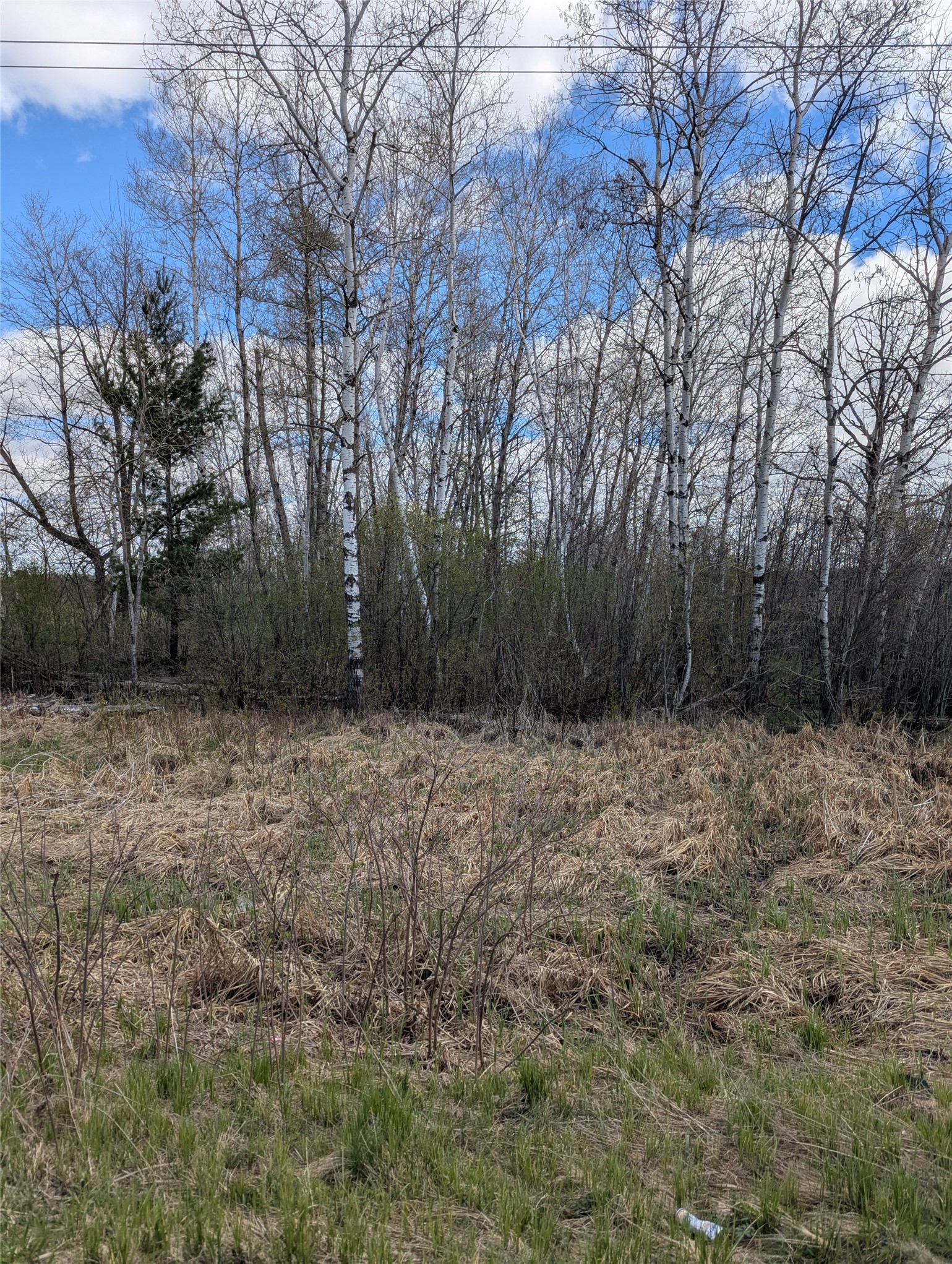 23505 State Highway 27 Property Photo 33