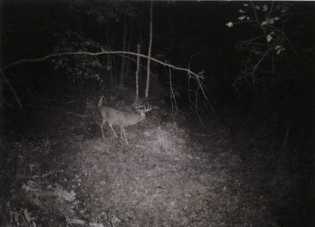 0 Semling Lane Property Photo 4