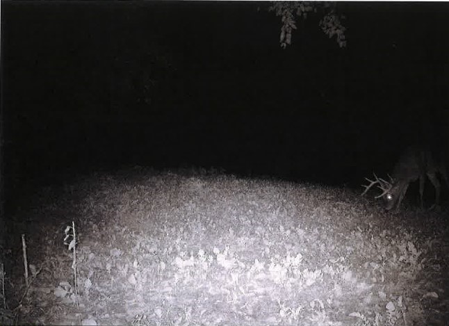 0 Semling Lane Property Photo 35