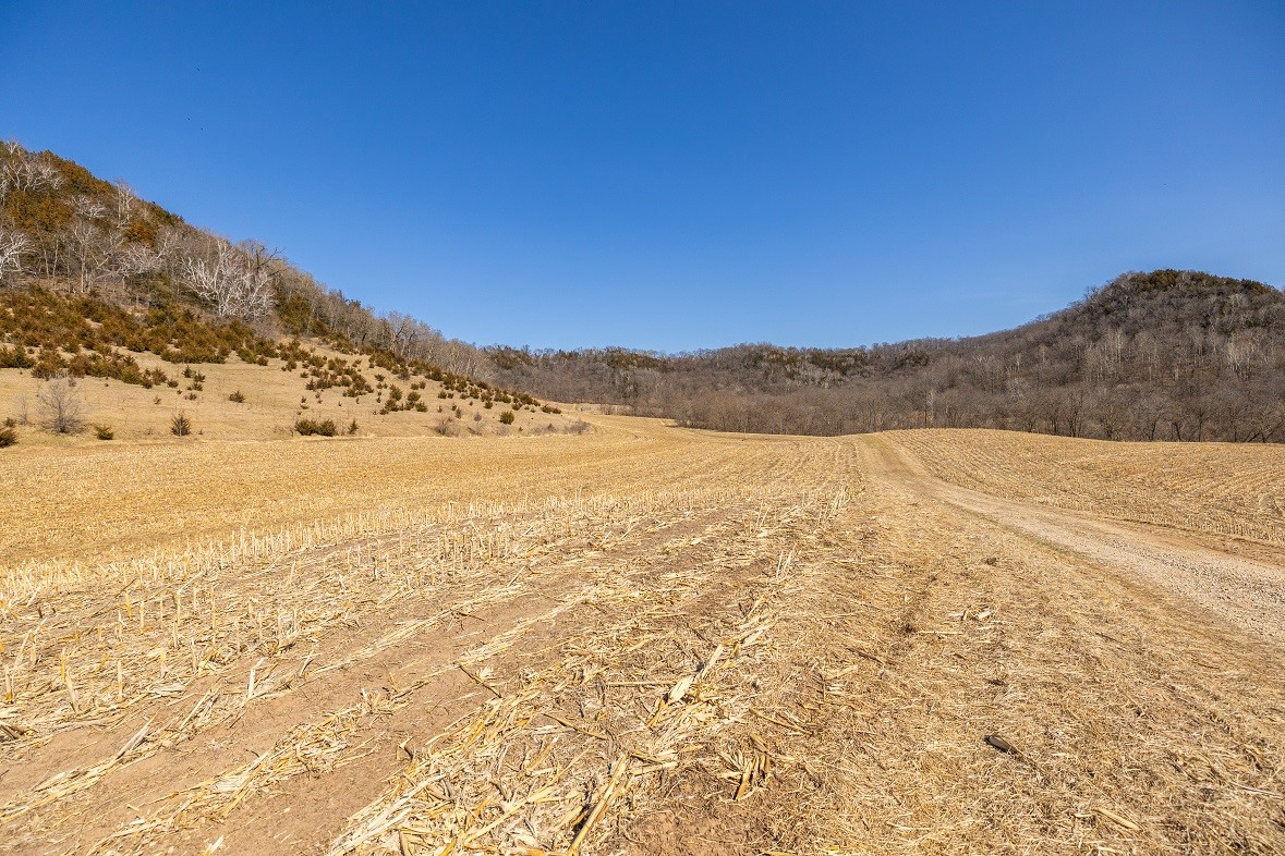 0 Semling Lane Property Photo 37