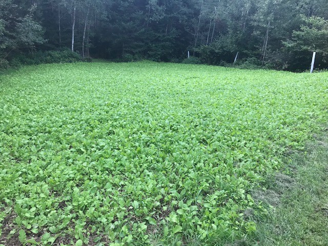 8225 N Blaisdell Lake Road Property Photo 39
