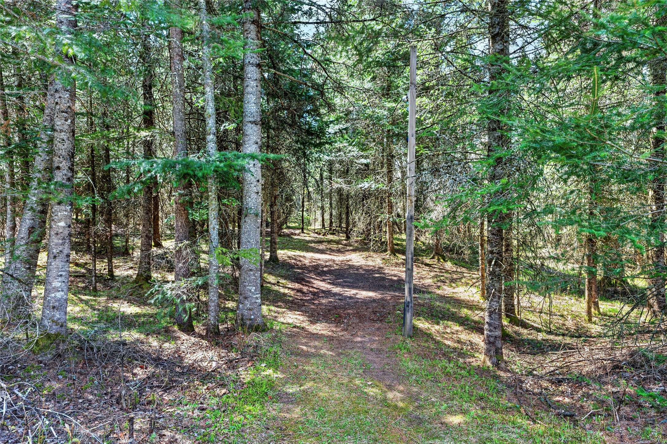 8225 N Blaisdell Lake Road Property Photo 57