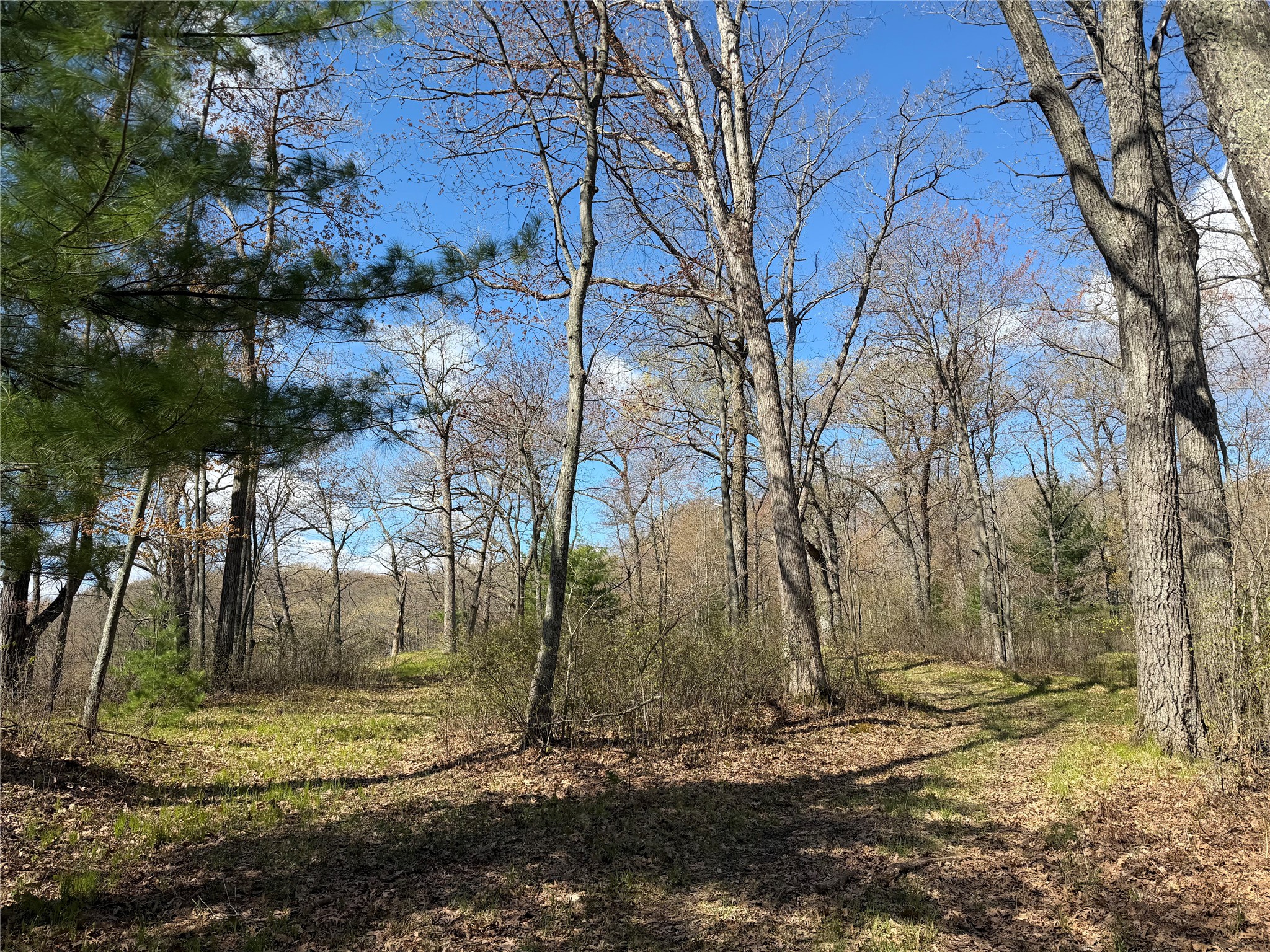 Lot 3 267th Avenue Property Photo 13